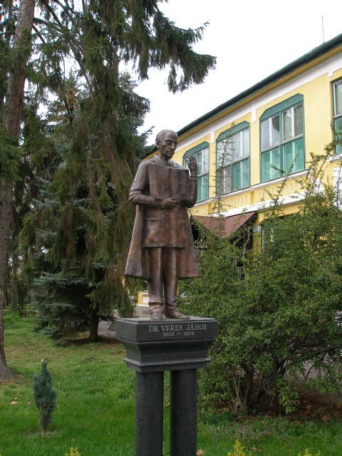 Dr. Veres János szobra a kórház parkjában